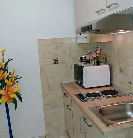 Ina Apartment Rogaska Slatina